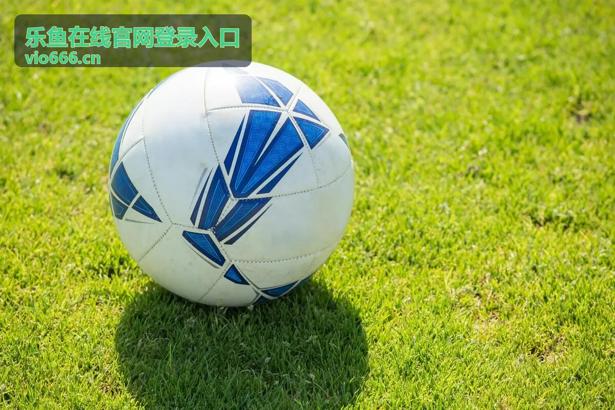 乐鱼在线官网登录入口移动端访问场景