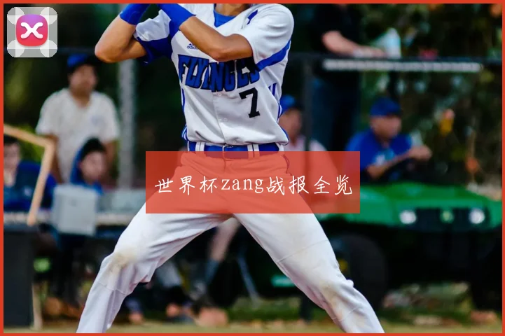 世界杯zang战报全览