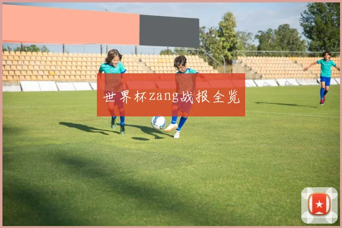 世界杯zang战报全览