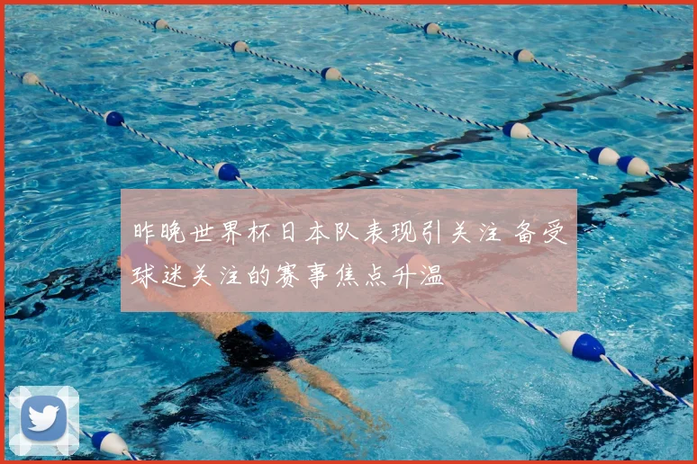 2001年男篮欧锦赛决赛回顾:关键球员表现与赛果影响分析